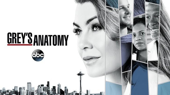 实习医生格蕾第十四季 Grey’s Anatomy 全集迅雷下载 全集免费下载 磁力链 1080P网盘资源
